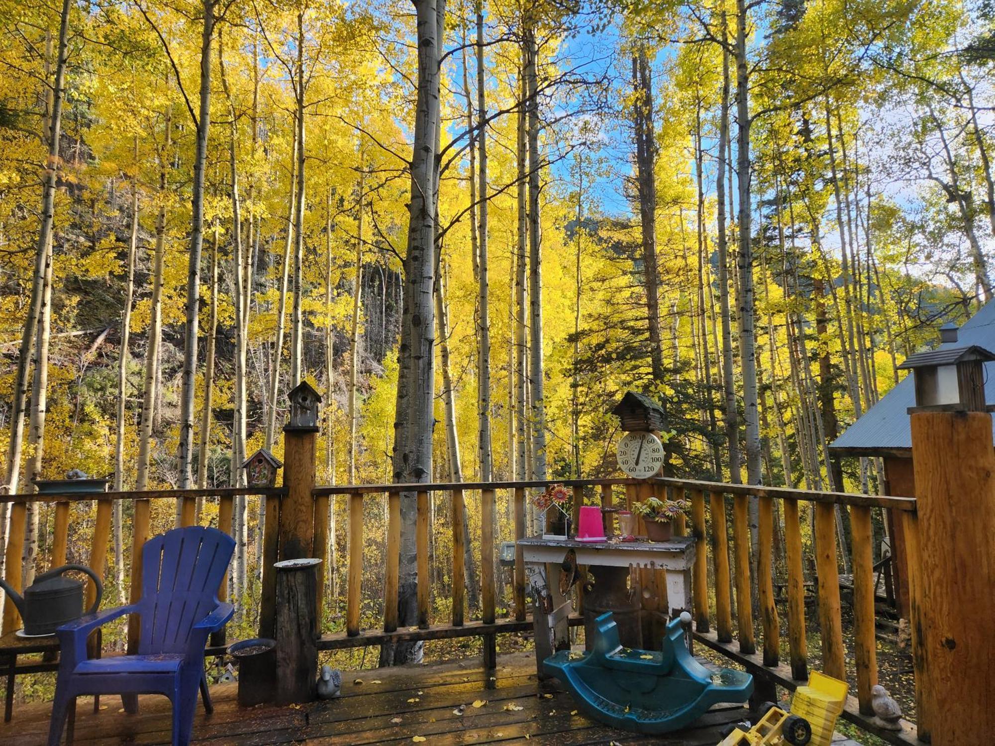 Cabin By The Creek With High Speed Wifi Red River Ngoại thất bức ảnh